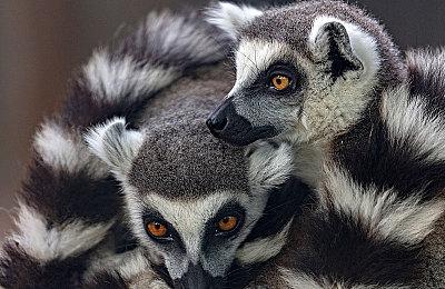 《爱死机》工作室打造《秘密关卡》动画剧集 包含战神、CF、王者荣耀